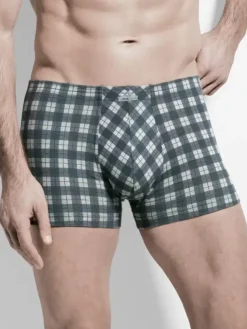 Panty Andy - Flash Basic