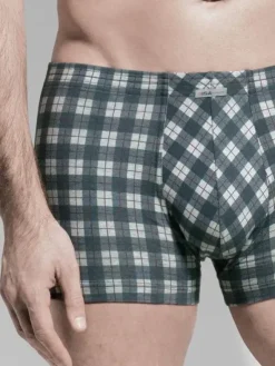 Panty Andy - Flash Basic