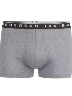 Panty Andy - Flash Basic