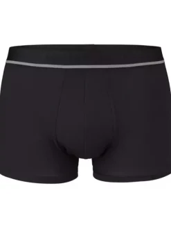 Panty Brian - Skinlife