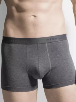 Panty 2er-Pack - Flash Basic