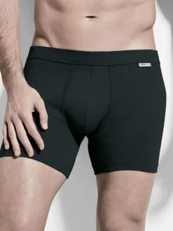 Panty Filius - Flash Basic