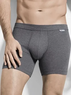 Panty Filius - Flash Basic