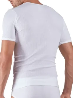 Shirt Kurzarm 2er Pack - Cotton 2er Pack Double Rib