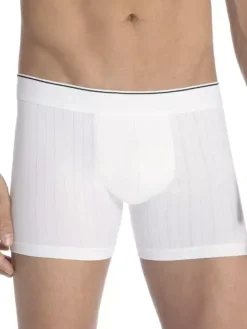 Boxer - Pure & Style