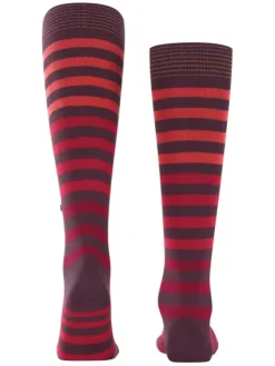 Kniestrümpfe - Blackpool