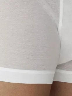 Pant - Royal Classic