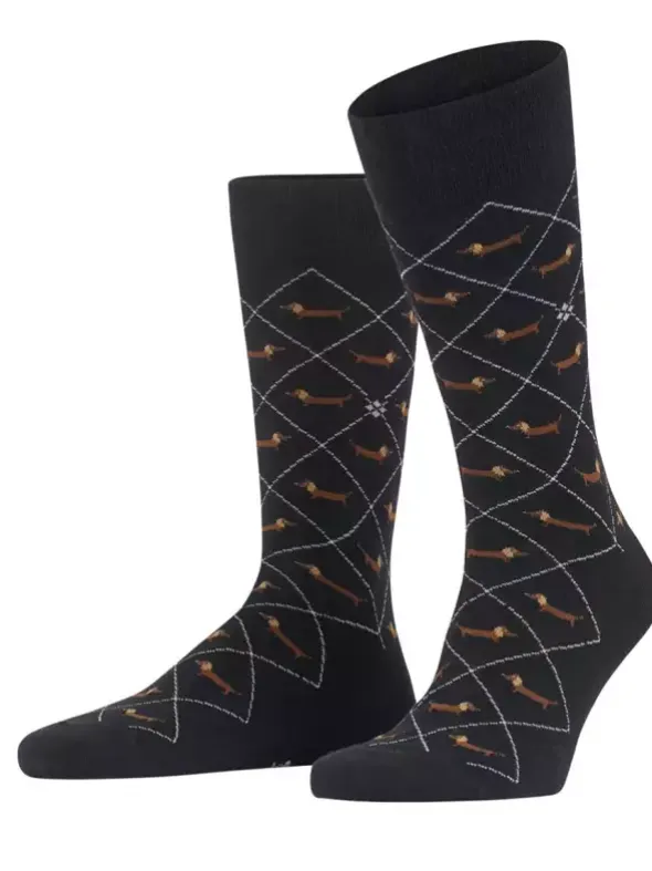 Socken - Dachshund