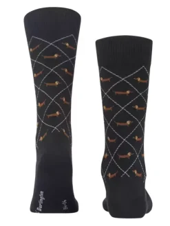 Socken - Dachshund
