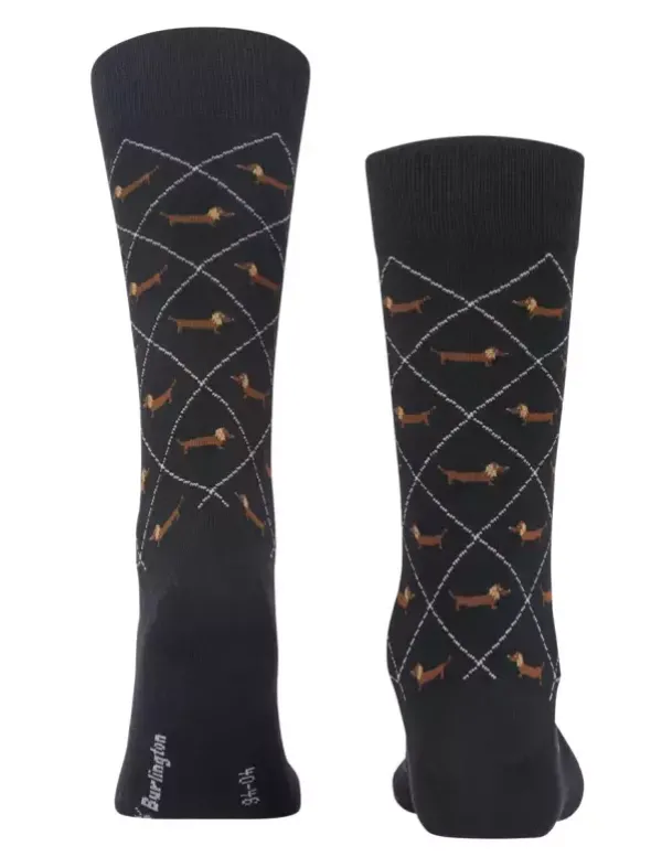 Socken - Dachshund