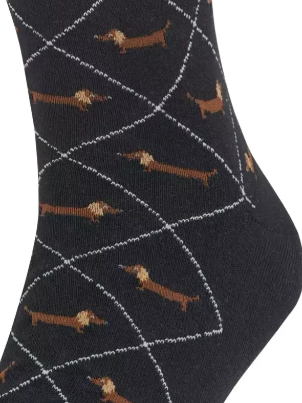 Socken - Dachshund